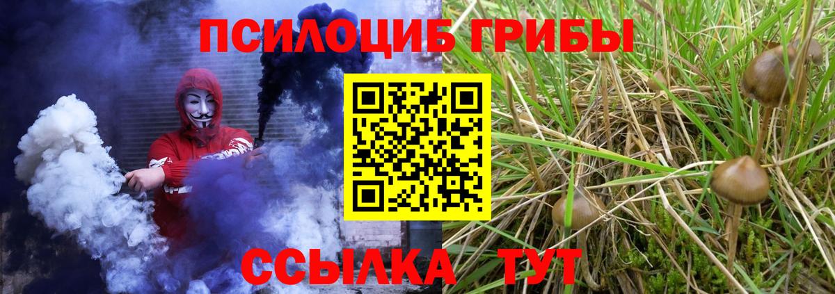 Псилоцибиновые грибы ЛСД Касимов